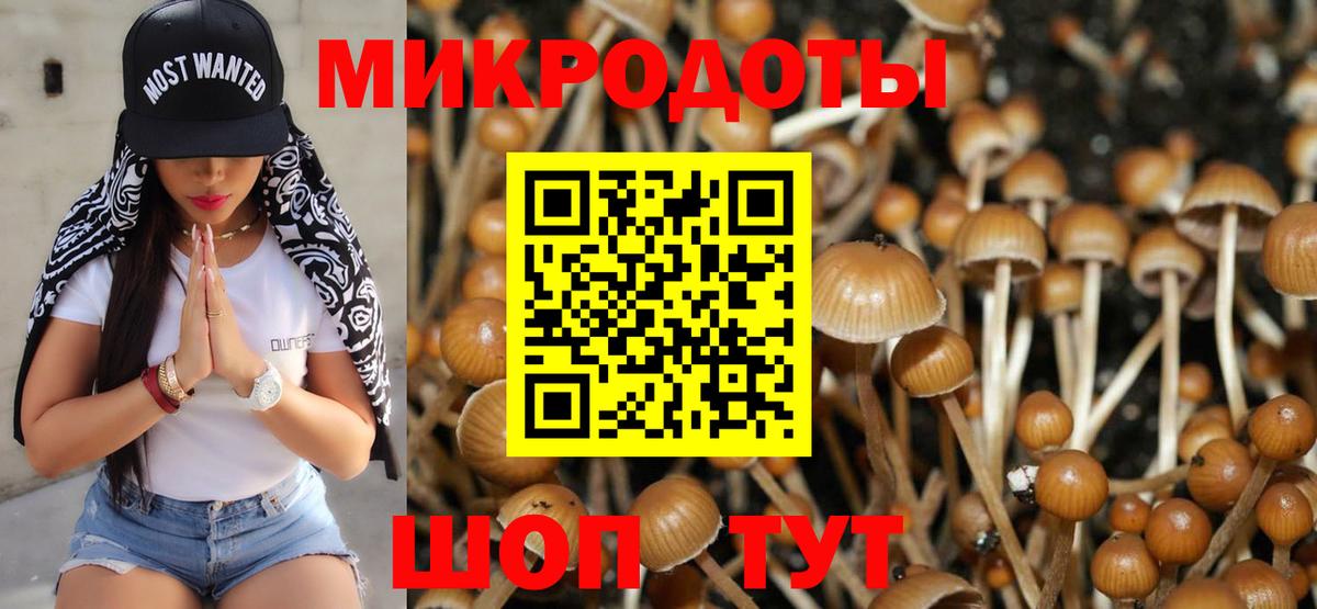 наркошоп  Вход с VPN  Самара  Галлюциногенные грибы ЛСД 