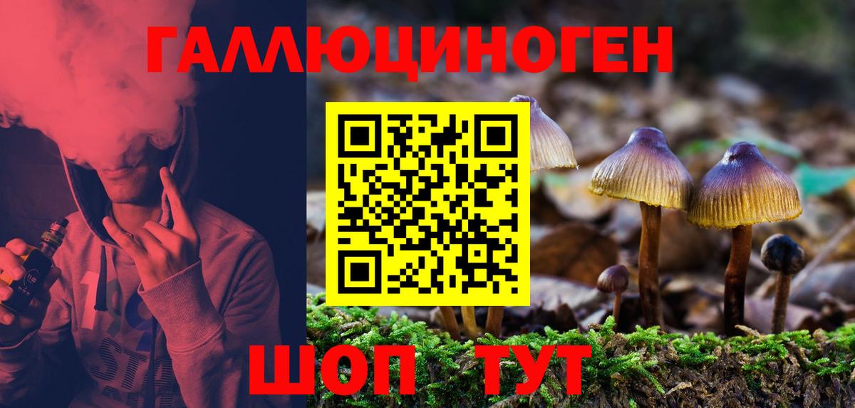 Галлюциногенные грибы GOLDEN TEACHER Самара